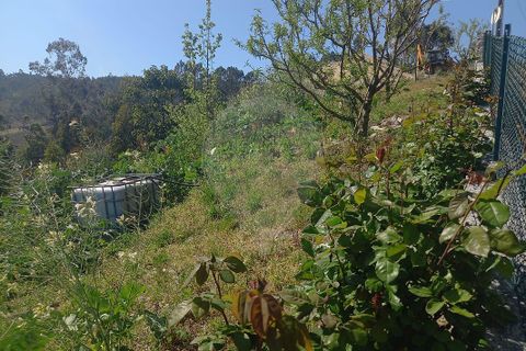 Terra a Fafe, Braga, Fafe - € 140.000 | Ref: 121751088-519 - foto 13