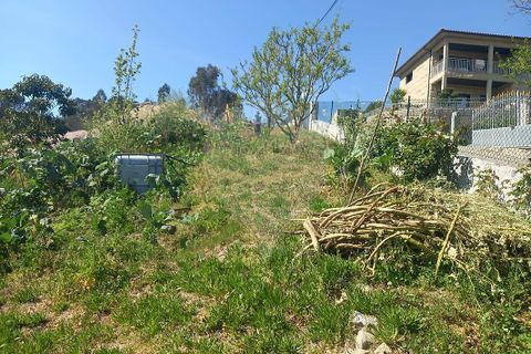 Terra a Fafe, Braga, Fafe - € 140.000 | Ref: 121751088-519 - foto 14