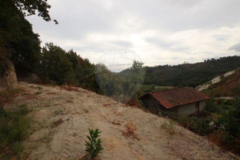 Villa i Cabeceiras de Basto, Braga, Cabeceiras de Basto - € 69.000 | Ref: 121751336-15 - foto 5