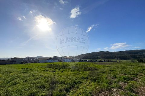 Helårsgrund i Barcelos, Braga, Barcelos - € 390.000 | Ref: 123331170-55 - foto 19