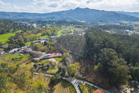 Helårsgrund i Ponte de Lima, Viana do Castelo, Ponte de Lima - € 549.000 | Ref: 123331135-106 - foto 3