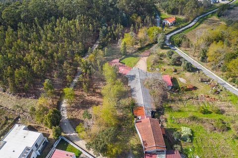 Helårsgrund i Ponte de Lima, Viana do Castelo, Ponte de Lima - € 549.000 | Ref: 123331135-106 - foto 7