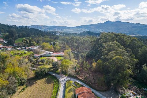 Helårsgrund i Ponte de Lima, Viana do Castelo, Ponte de Lima - € 549.000 | Ref: 123331135-106 - foto 9