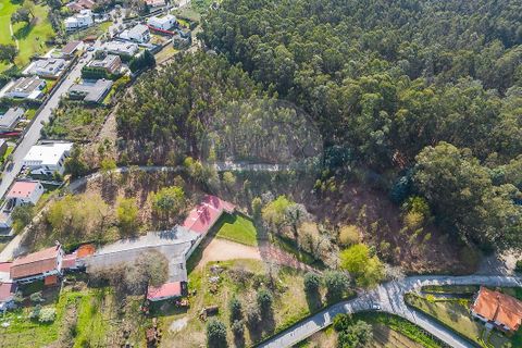 Helårsgrund i Ponte de Lima, Viana do Castelo, Ponte de Lima - € 549.000 | Ref: 123331135-106 - foto 10