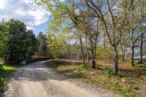 Helårsgrund i Ponte de Lima, Viana do Castelo, Ponte de Lima - € 549.000 | Ref: 123331135-106 - foto 14
