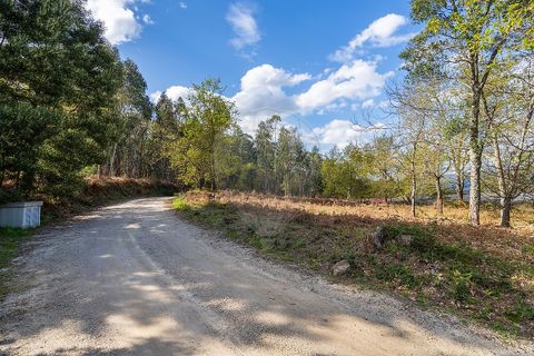 Helårsgrund i Ponte de Lima, Viana do Castelo, Ponte de Lima - € 549.000 | Ref: 123331135-106 - foto 15