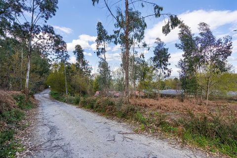 Helårsgrund i Ponte de Lima, Viana do Castelo, Ponte de Lima - € 549.000 | Ref: 123331135-106 - foto 17