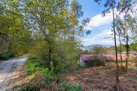 Helårsgrund i Ponte de Lima, Viana do Castelo, Ponte de Lima - € 549.000 | Ref: 123331135-106 - foto 18