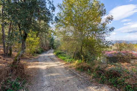 Helårsgrund i Ponte de Lima, Viana do Castelo, Ponte de Lima - € 549.000 | Ref: 123331135-106 - foto 19