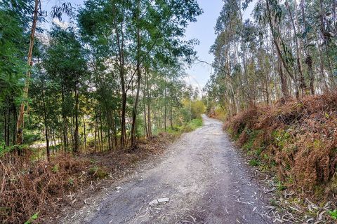 Helårsgrund i Ponte de Lima, Viana do Castelo, Ponte de Lima - € 549.000 | Ref: 123331135-106 - foto 20
