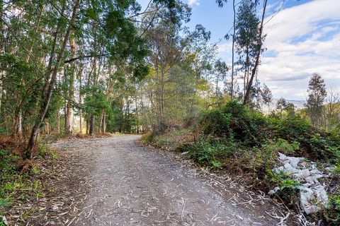 Helårsgrund i Ponte de Lima, Viana do Castelo, Ponte de Lima - € 549.000 | Ref: 123331135-106 - foto 21