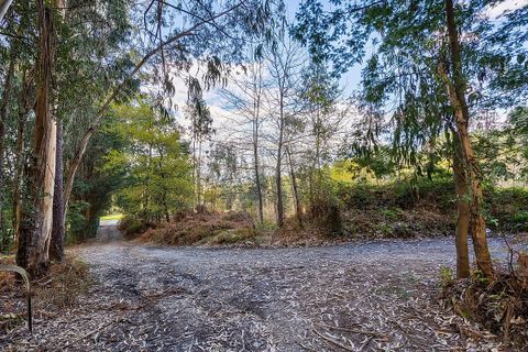 Helårsgrund i Ponte de Lima, Viana do Castelo, Ponte de Lima - € 549.000 | Ref: 123331135-106 - foto 22