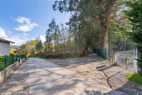 Helårsgrund i Ponte de Lima, Viana do Castelo, Ponte de Lima - € 549.000 | Ref: 123331135-106 - foto 24