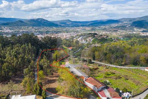 Helårsgrund i Ponte de Lima, Viana do Castelo, Ponte de Lima - € 549.000 | Ref: 123331135-106 - foto 25