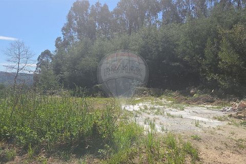 Helårsgrund i Ponte de Lima, Viana do Castelo, Ponte de Lima - € 129.000 | Ref: 123731008-452 - foto 2