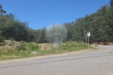 Helårsgrund i Ponte de Lima, Viana do Castelo, Ponte de Lima - € 129.000 | Ref: 123731008-452 - foto 3