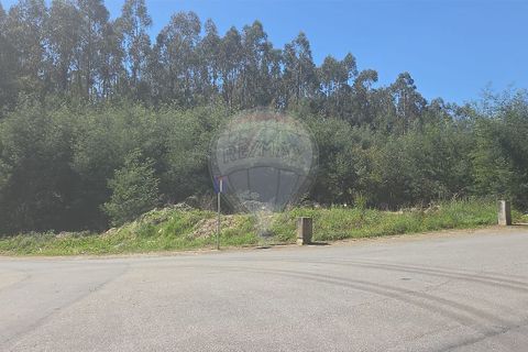 Helårsgrund i Ponte de Lima, Viana do Castelo, Ponte de Lima - € 129.000 | Ref: 123731008-452 - foto 4
