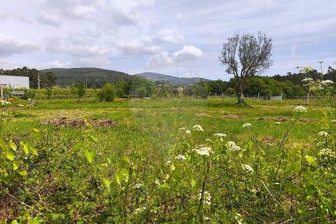 Helårsgrund i Ponte de Lima, Viana do Castelo, Ponte de Lima - € 95.000 | Ref: 123731006-166 - foto 1