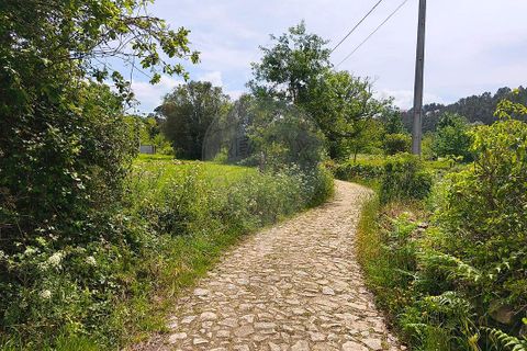 Helårsgrund i Ponte de Lima, Viana do Castelo, Ponte de Lima - € 95.000 | Ref: 123731006-166 - foto 10