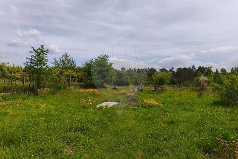 Helårsgrund i Ponte de Lima, Viana do Castelo, Ponte de Lima - € 95.000 | Ref: 123731006-166 - foto 13
