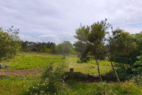 Helårsgrund i Ponte de Lima, Viana do Castelo, Ponte de Lima - € 95.000 | Ref: 123731006-166 - foto 14