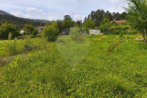 Helårsgrund i Ponte de Lima, Viana do Castelo, Ponte de Lima - € 95.000 | Ref: 123731006-166 - foto 15