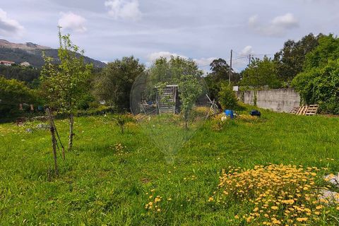 Helårsgrund i Ponte de Lima, Viana do Castelo, Ponte de Lima - € 95.000 | Ref: 123731006-166 - foto 16
