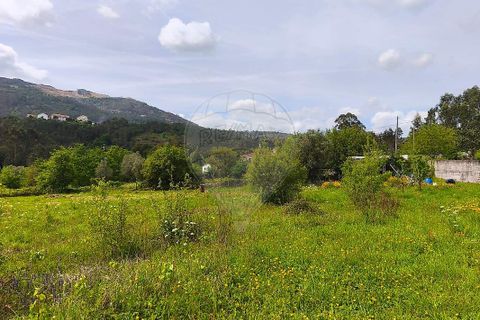 Helårsgrund i Ponte de Lima, Viana do Castelo, Ponte de Lima - € 95.000 | Ref: 123731006-166 - foto 17
