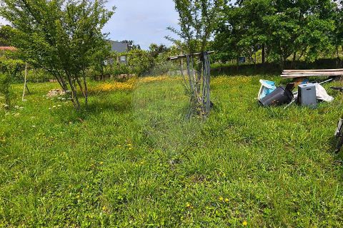 Helårsgrund i Ponte de Lima, Viana do Castelo, Ponte de Lima - € 95.000 | Ref: 123731006-166 - foto 18