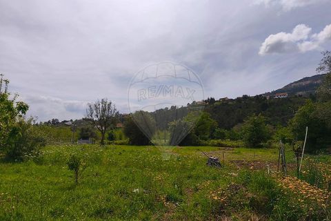Helårsgrund i Ponte de Lima, Viana do Castelo, Ponte de Lima - € 95.000 | Ref: 123731006-166 - foto 20