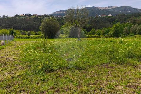 Helårsgrund i Ponte de Lima, Viana do Castelo, Ponte de Lima - € 95.000 | Ref: 123731006-166 - foto 21