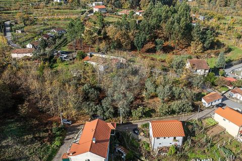 Villa i Celorico de Basto, Braga, Celorico de Basto - € 40.000 | Ref: 126221008-459 - foto 8