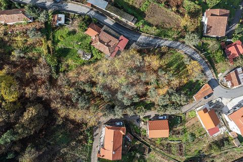 Villa i Celorico de Basto, Braga, Celorico de Basto - € 40.000 | Ref: 126221008-459 - foto 10