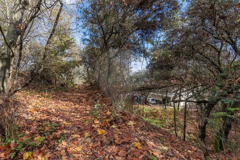 Villa i Celorico de Basto, Braga, Celorico de Basto - € 40.000 | Ref: 126221008-459 - foto 11