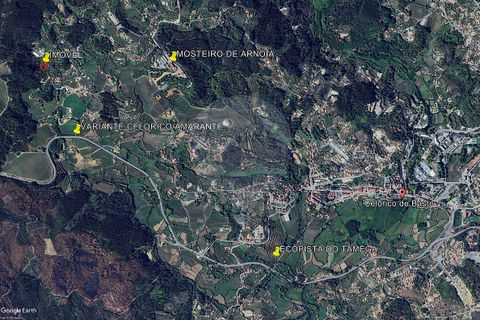 Villa i Celorico de Basto, Braga, Celorico de Basto - € 40.000 | Ref: 126221008-459 - foto 14