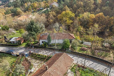 Villa i Celorico de Basto, Braga, Celorico de Basto - € 75.000 | Ref: 126221008-458 - foto 1