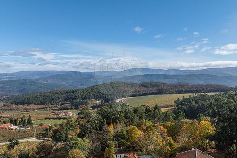 Villa i Celorico de Basto, Braga, Celorico de Basto - € 75.000 | Ref: 126221008-458 - foto 5