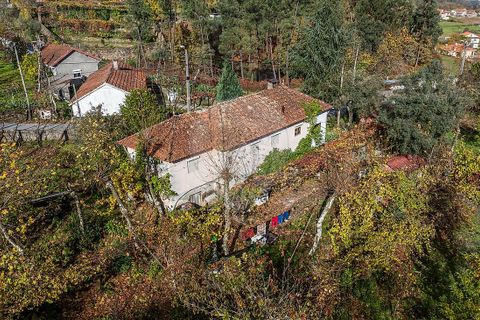 Villa i Celorico de Basto, Braga, Celorico de Basto - € 75.000 | Ref: 126221008-458 - foto 7