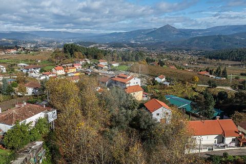 Villa i Celorico de Basto, Braga, Celorico de Basto - € 75.000 | Ref: 126221008-458 - foto 11