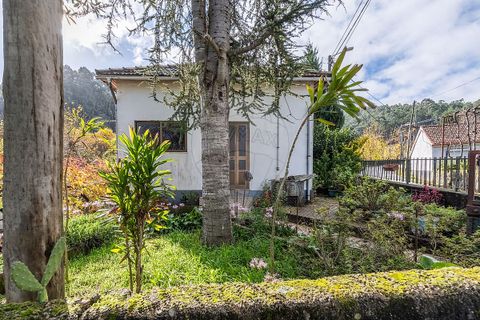 Villa i Celorico de Basto, Braga, Celorico de Basto - € 75.000 | Ref: 126221008-458 - foto 12