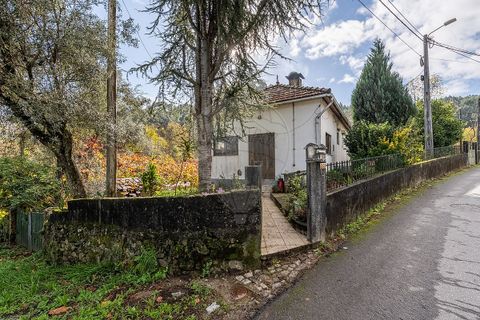Villa i Celorico de Basto, Braga, Celorico de Basto - € 75.000 | Ref: 126221008-458 - foto 13