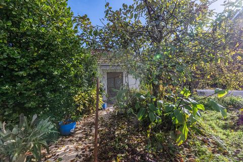 Villa i Celorico de Basto, Braga, Celorico de Basto - € 75.000 | Ref: 126221008-458 - foto 15