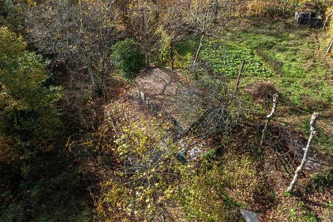 Villa a Celorico de Basto, Braga, Celorico de Basto - € 50.000 | Ref: 126221008-460 - foto 8