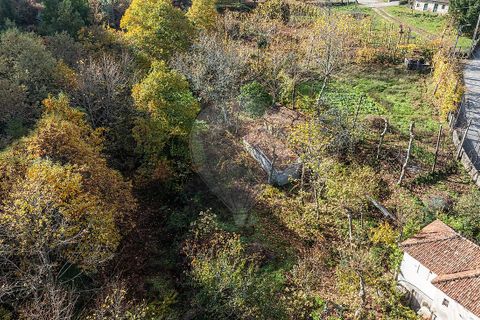 Villa a Celorico de Basto, Braga, Celorico de Basto - € 50.000 | Ref: 126221008-460 - foto 9