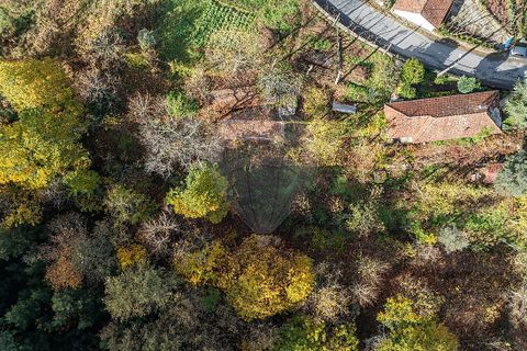 Villa a Celorico de Basto, Braga, Celorico de Basto - € 50.000 | Ref: 126221008-460 - foto 10