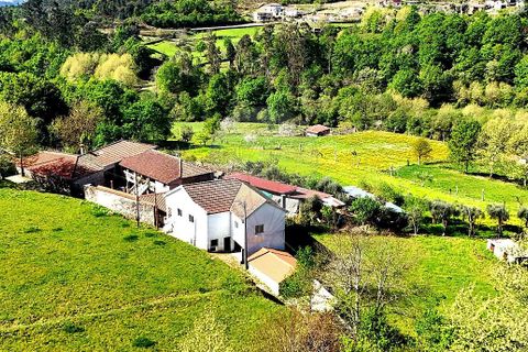 Villa i Cabeceiras de Basto, Braga, Cabeceiras de Basto - € 215.000 | Ref: 126311008-156 - foto 16
