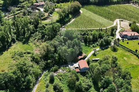 Villa i Cabeceiras de Basto, Braga, Cabeceiras de Basto - € 99.000 | Ref: 126311008-160 - foto 8
