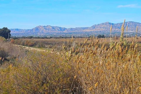 Finca i Dolores, Alicante, Dolores - € 374.950 | Ref: 30O994841 - foto 6