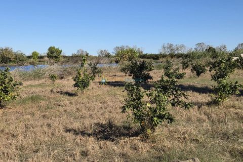 Landejendom i Xeraco, Valencia, Xeraco - € 93.000 | Ref: PNPT286 - foto 21