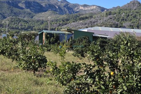 Landejendom i Xeraco, Valencia, Xeraco - € 93.000 | Ref: PNPT286 - foto 18